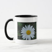 Tasse weisse Margeritenblüte (Links)