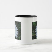 Tasse weisse Margeritenblüte (Zentrum)