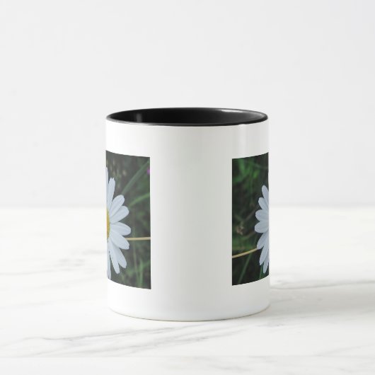 Tasse weisse Margeritenblüte (Zentrum)
