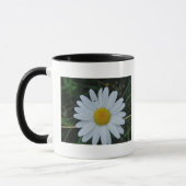 Tasse weisse Margeritenblüte (Links)