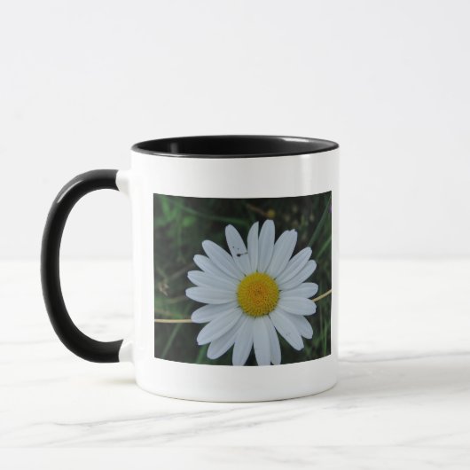Tasse weisse Margeritenblüte (Links)