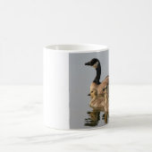 Tasse/wenig Kanada-Gans-Brut Kaffeetasse (Mittel)