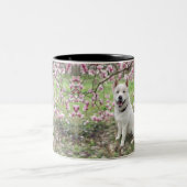 Tasse - White Akita (Mittel)