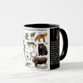 Tasse "Wildtiere des Kanadischen Schilds" (VorderseiteRechts)