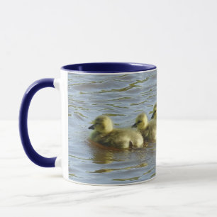 Tasse Wildtiere, Gänse aus Kanada, Baby Goslings,
