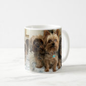 Tasse Yorkshire Terrier (VorderseiteRechts)
