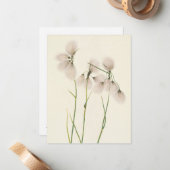 Tassel Cottongrass von Mary Vaux Walcott Mitteilungskarte (Vorderseite/Rückseite Beispiel)