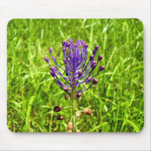 Tassel-Hyacinth-Maus-Mat Mousepad