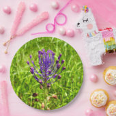 Tassel-Hyacinth Paper-Teller Pappteller (Party)