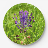 Tassel-Hyacinth Paper-Teller Pappteller (Vorderseite)