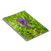 Tassel-Hyacinth Spiral Foto Notebook Notizblock (Rechte Seite)