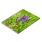 Tassel-Hyacinth Spiral Foto Notebook Notizblock (Linke Seite)