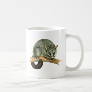 Tassen - cooroy Opossum