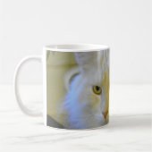 Tassen-Kaffee-Haustier-Maine-Waschbär-Katze Kaffeetasse (Links)