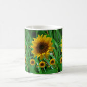 Tassen Sonnenblumen (Mittel)