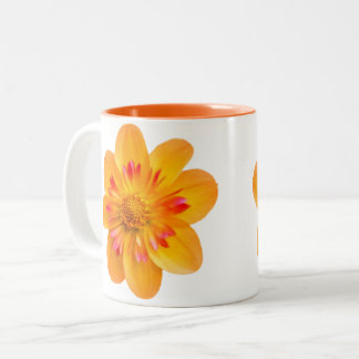 Tassenblume Zweifarbige Tasse