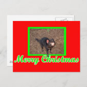 Tassie Devil Postkarte (Vorne/Hinten)