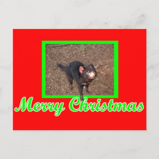 Tassie Devil Postkarte (Vorderseite)