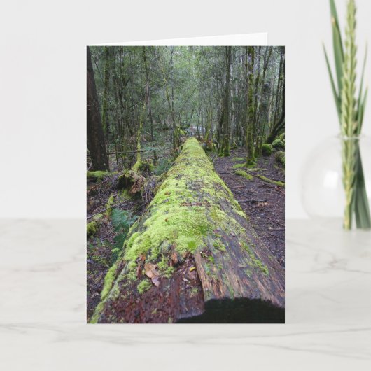 Tassie Tree Karte (Vorderseite)