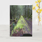 Tassie Tree Karte (Gelbe Blume)