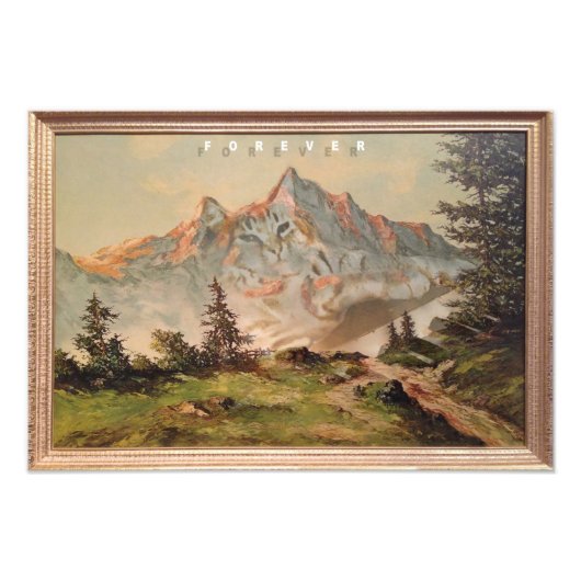 Tastatur-Katze für immer Fotodruck (Vorne)