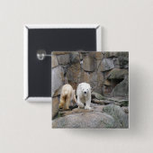 Taste "POLAR BEAR" Button (Vorne & Hinten)