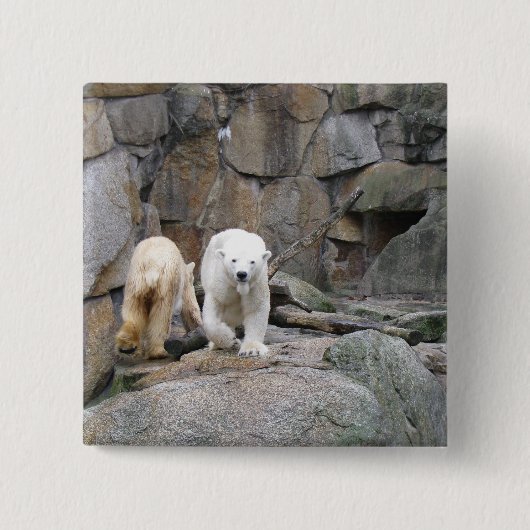 Taste "POLAR BEAR" Button (Vorderseite)