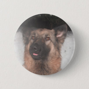 Tasteknopf Deutscher Schäferhund Herausstreckende  Button