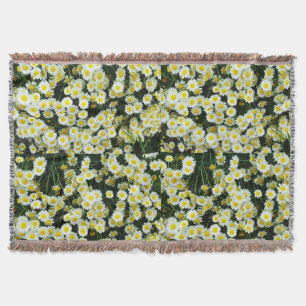 Tasten der Gelben Dainty Daisy-Blume, Decke
