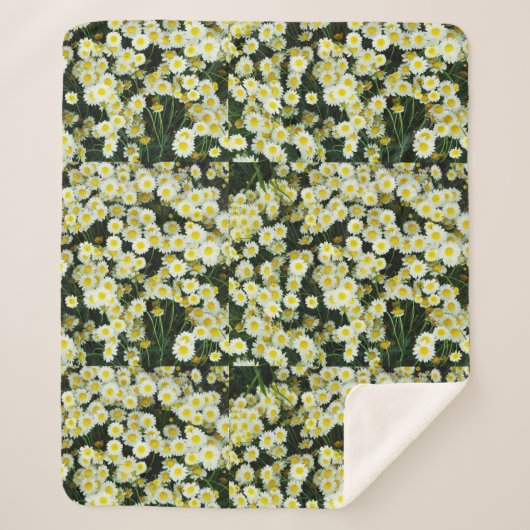 Tasten der Gelben Dainty Daisy-Blume, Sherpadecke (Vorderseite)