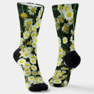 Tasten der Gelben Dainty Daisy-Blume, Socken