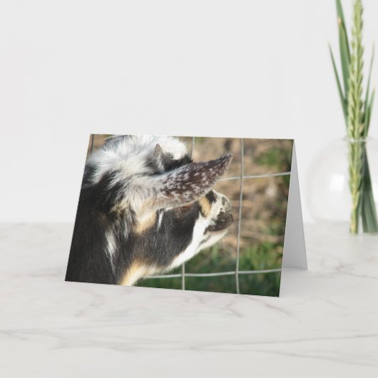 Tasten Karte (Vorderseite)