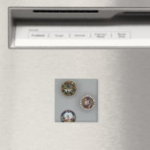 Tasten Magnet (In Situ (Geschirrspüler))