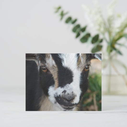 Tasten Postkarte (Stehend Vorderseite)