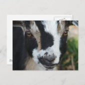 Tasten Postkarte (Vorne/Hinten)