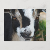 Tasten Postkarte (Vorderseite)