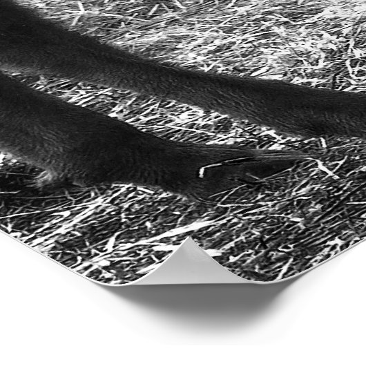 Tatanka Poster (Ecke)