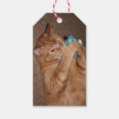 Tater Geschenkanhänger (Vorderseite)