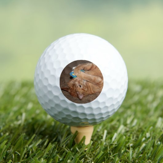 Tater Golfball (Insitu T-Shirt)