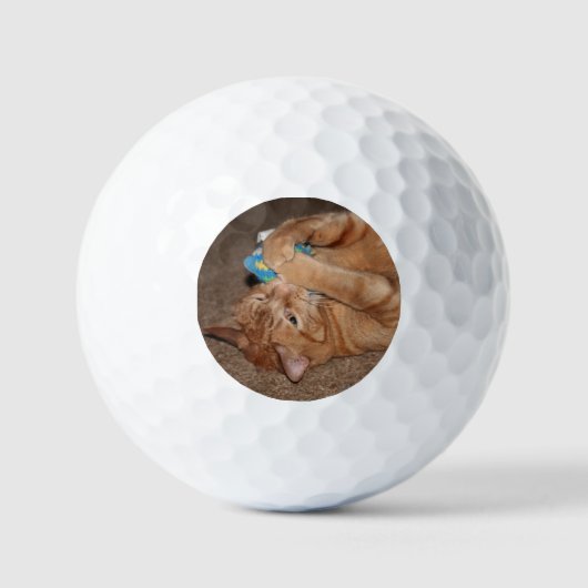Tater Golfball (Vorderseite)