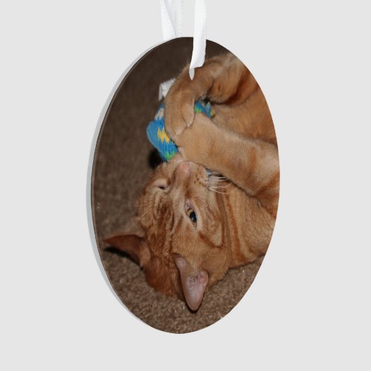 Tater Ornament (Vorderseite)