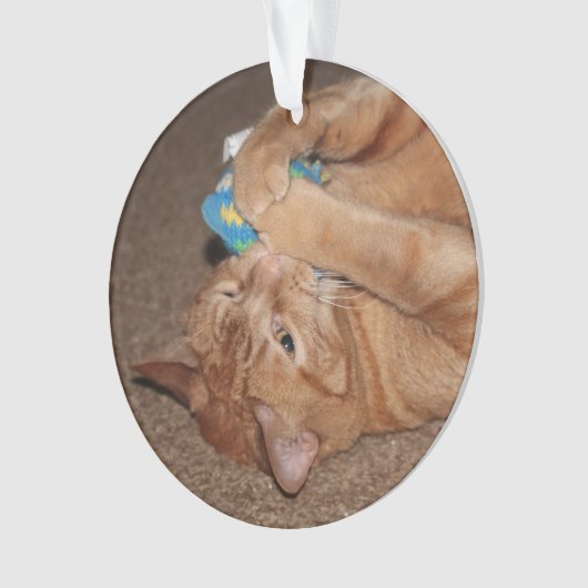 Tater Ornament (Vorderseite)