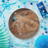 Tater Pappteller (Party)