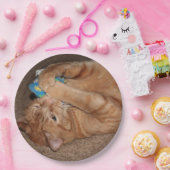 Tater Pappteller (Party)