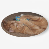 Tater Pappteller (Schrägansicht)