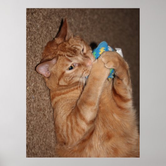 Tater Poster (Vorne)