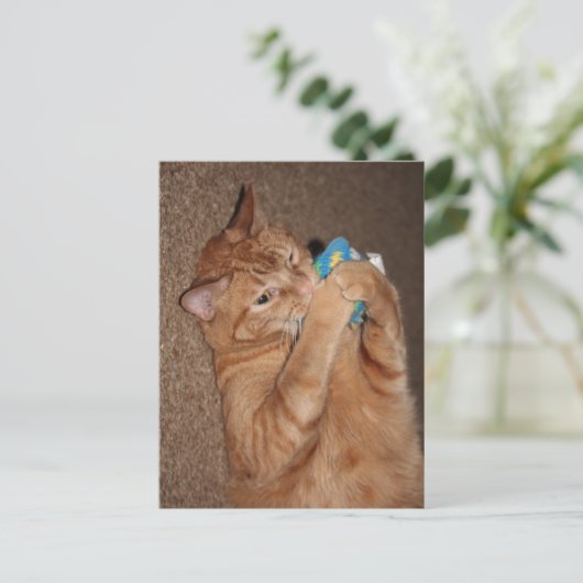 Tater Postkarte (Stehend Vorderseite)