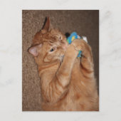 Tater Postkarte (Vorderseite)