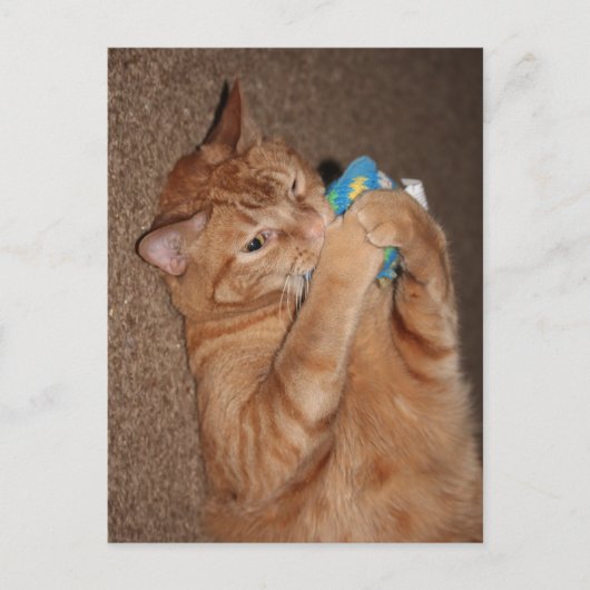 Tater Postkarte (Vorderseite)