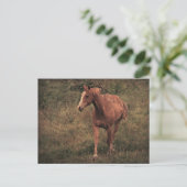 Täter Postkarte (Stehend Vorderseite)